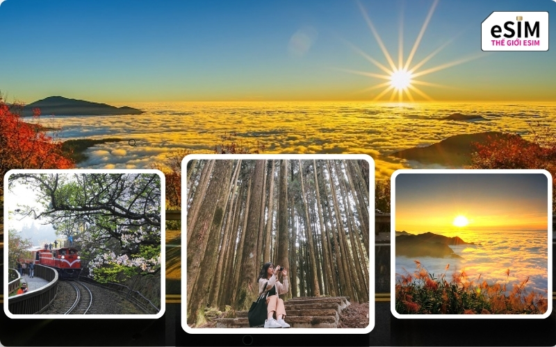 Chủ động mua esim đài loan giúp đảm bảo internet siêu khỏe để trekking Alishan an toàn